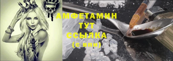 дмт Осташков