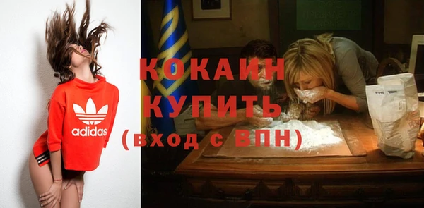 дмт Осташков