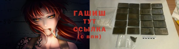 дмт Осташков