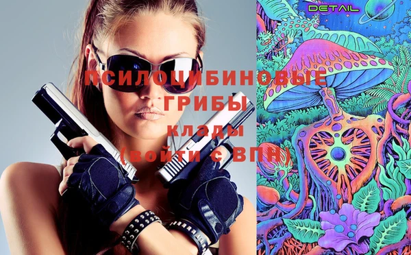 дмт Осташков