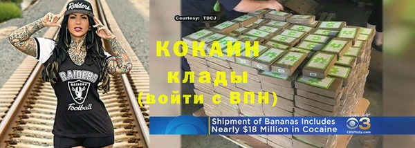 дмт Осташков