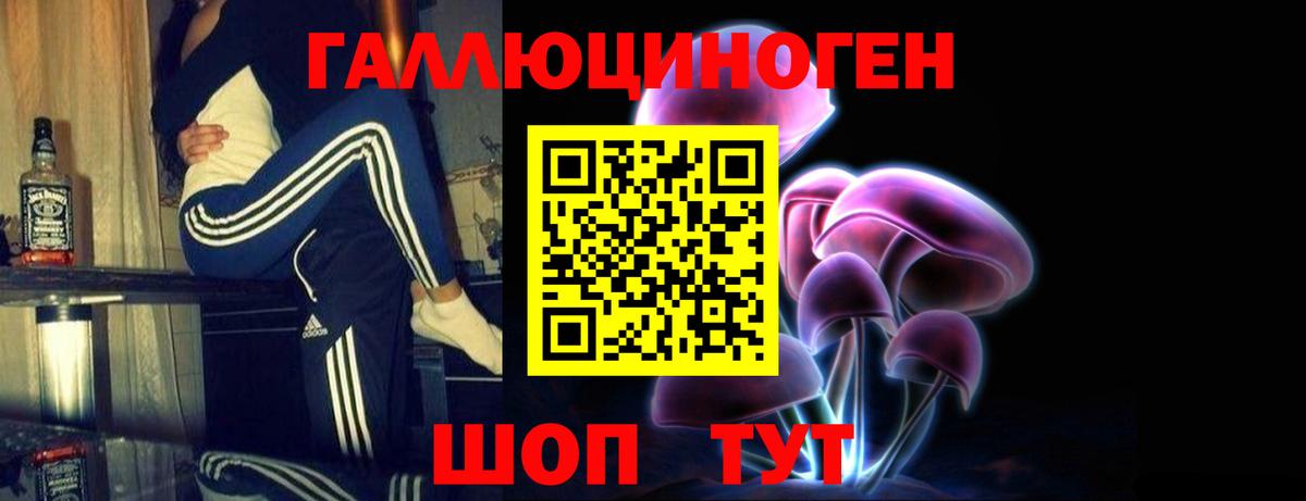 Кисловодск  Псилоцибиновые грибы Psilocybine cubensis  Вход с VPN 