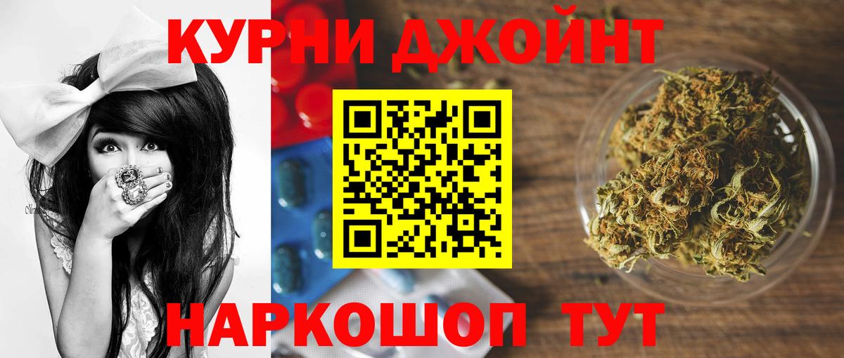 Каннабис конопля Кисловодск